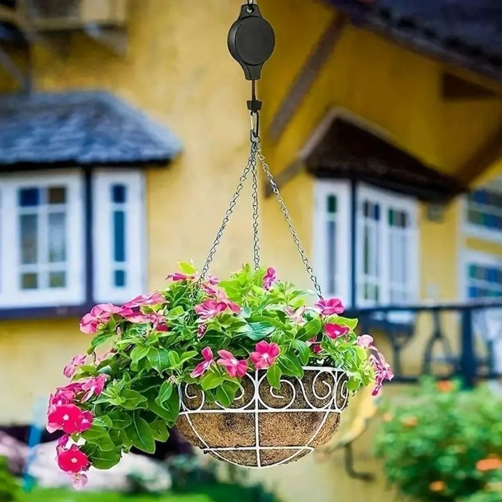 2+2 Kostenlos | Einfaches Pflanzenset zum Hängen