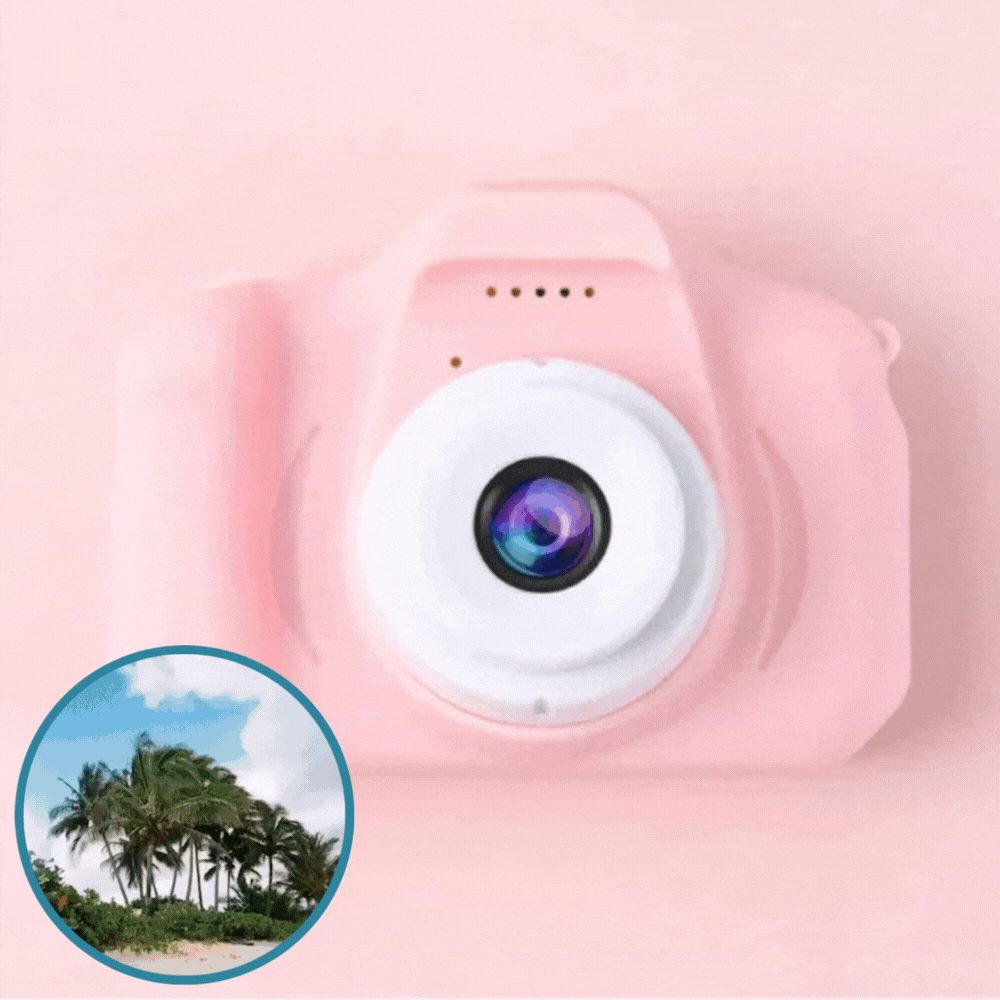 Vintage Minicam