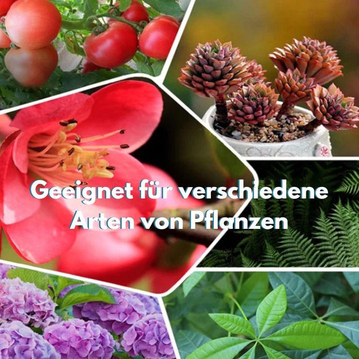 1+1 KOSTENLOS | GrowBoost - Pflanzen umweltfreundlich wieder zum Leben erwecken! [Letzter Tag Rabatt]