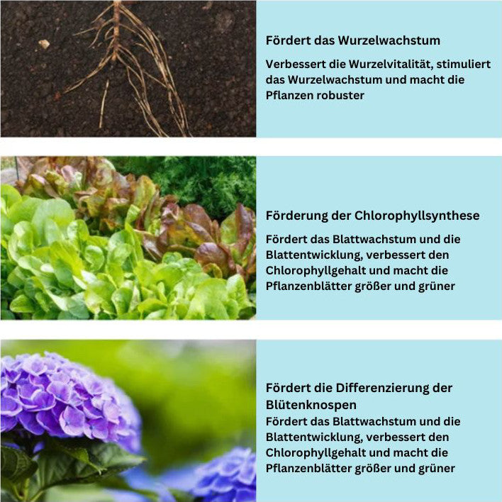 1+1 GRATIS | GrowBoost - Pflanzen umweltschonend wieder zum Leben erwecken! [Letzter Tag Rabatt]