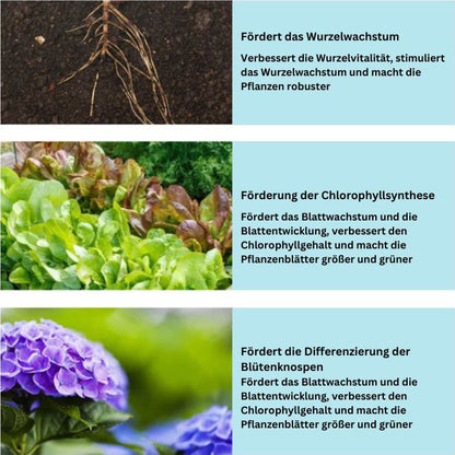 1+1 GRATIS | GrowBoost - Pflanzen umweltschonend wieder zum Leben erwecken! [Letzter Tag Rabatt]